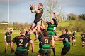 Monaghan 1st XV Vs Virginia 1st XV - Jan 31st 2015 (36 of 45)